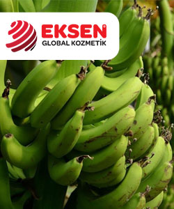 Eksen Global Dağıtım İş Ortağı